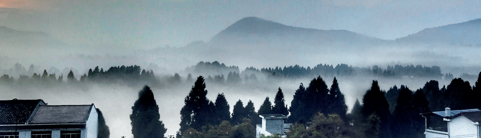 鄉(xiāng)村振興 田園綜合體