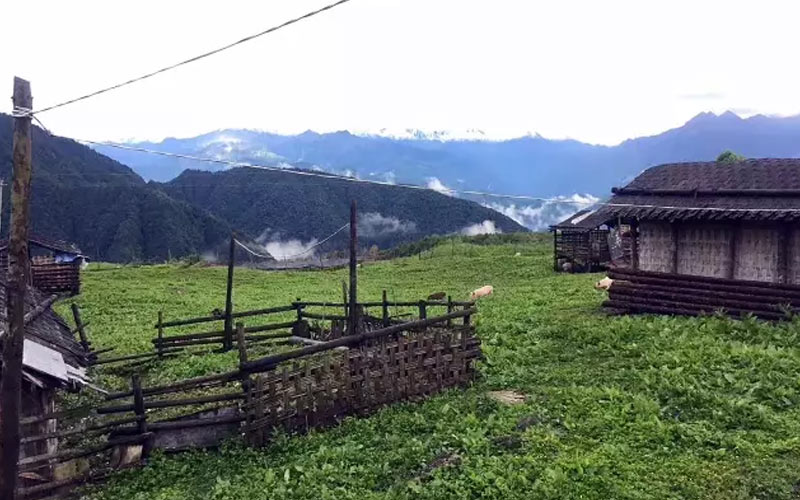 《中國(guó)國(guó)家地理》盛贊的“寶藏景區(qū)”——雅安王崗坪